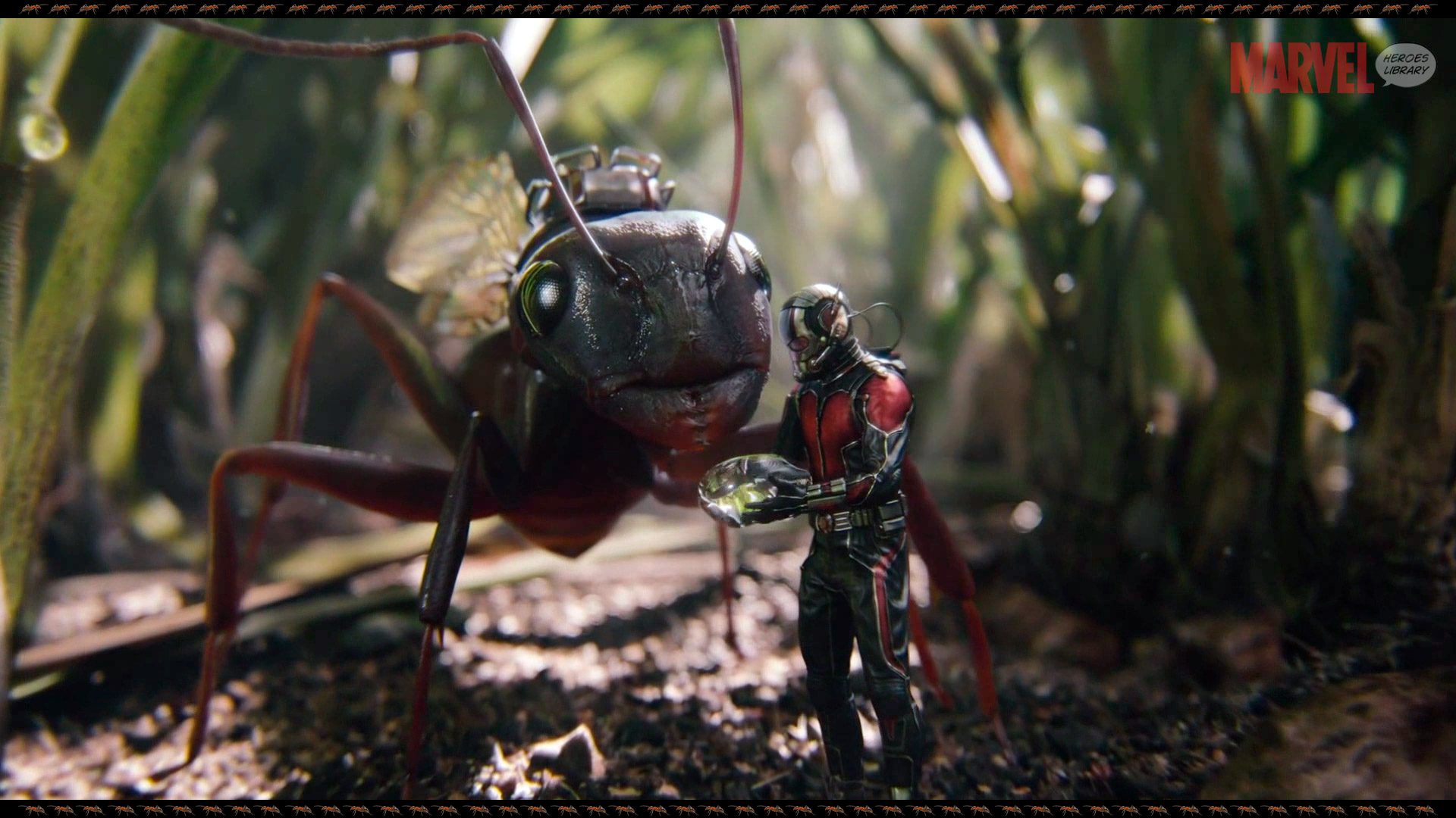Ant-Man and Antony (Ant-Man) HD Wallpaper