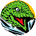 LIZARD