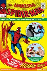 Amazing Spider-Man, The #8