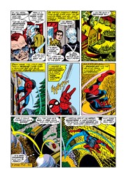 Page #3from Amazing Spider-Man, The (1963 series) #119