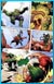 Page #2 from Marvel Adventures Hulk (2007 series) #9