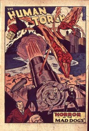 Page #1from Human Torch, The (1940 series) #14