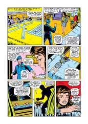 Page #6from Incredible Hulk, The (1968 series) #114