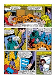 Page #6from Incredible Hulk, The (1968 series) #251