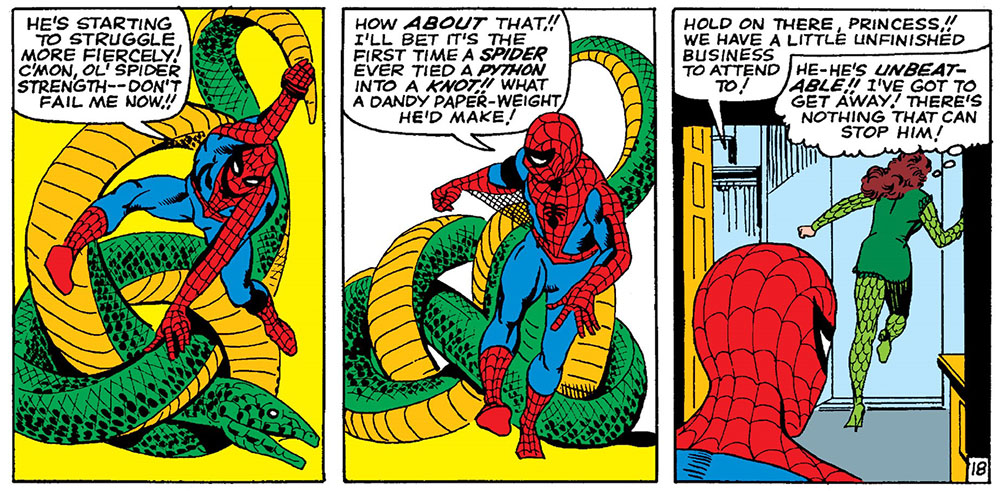Image from Amazing Spider-Man, The (1963 series) #22