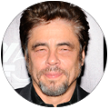 Benicio Del Toro